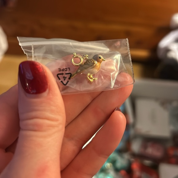 Enamel Robin Charm by Fable - Picture 2 of 2